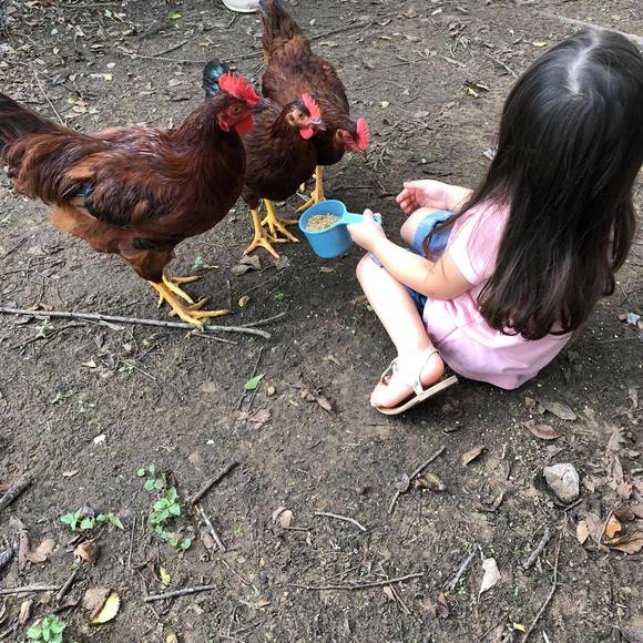 Meet your Posher, Glenda - Picture 1 of 1